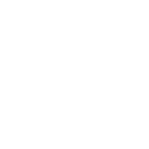 RR27_logo_valkoinen_01